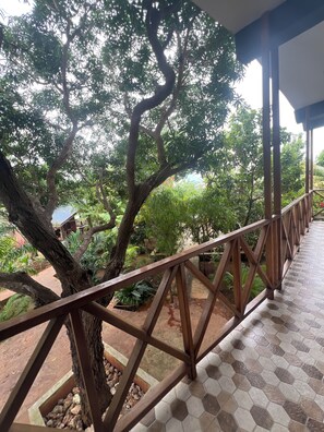 Front of property - Olimpos  (Nungwi)