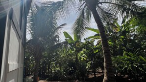 Gambar tidak terklasifikasi, 2 dari 42, tombol