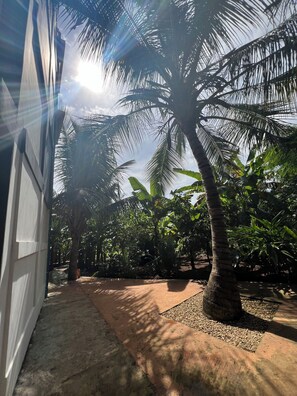 Living area - Olimpos (Nungwi)