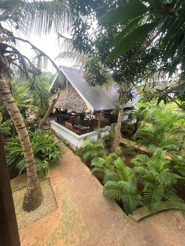 Reception - Olimpos (Nungwi)