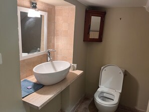 Dusch, hårtork, handdukar och toalettpapper