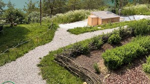 Paesaggio montuoso con un lago limpido, un sentiero sterrato e una struttura in legno.