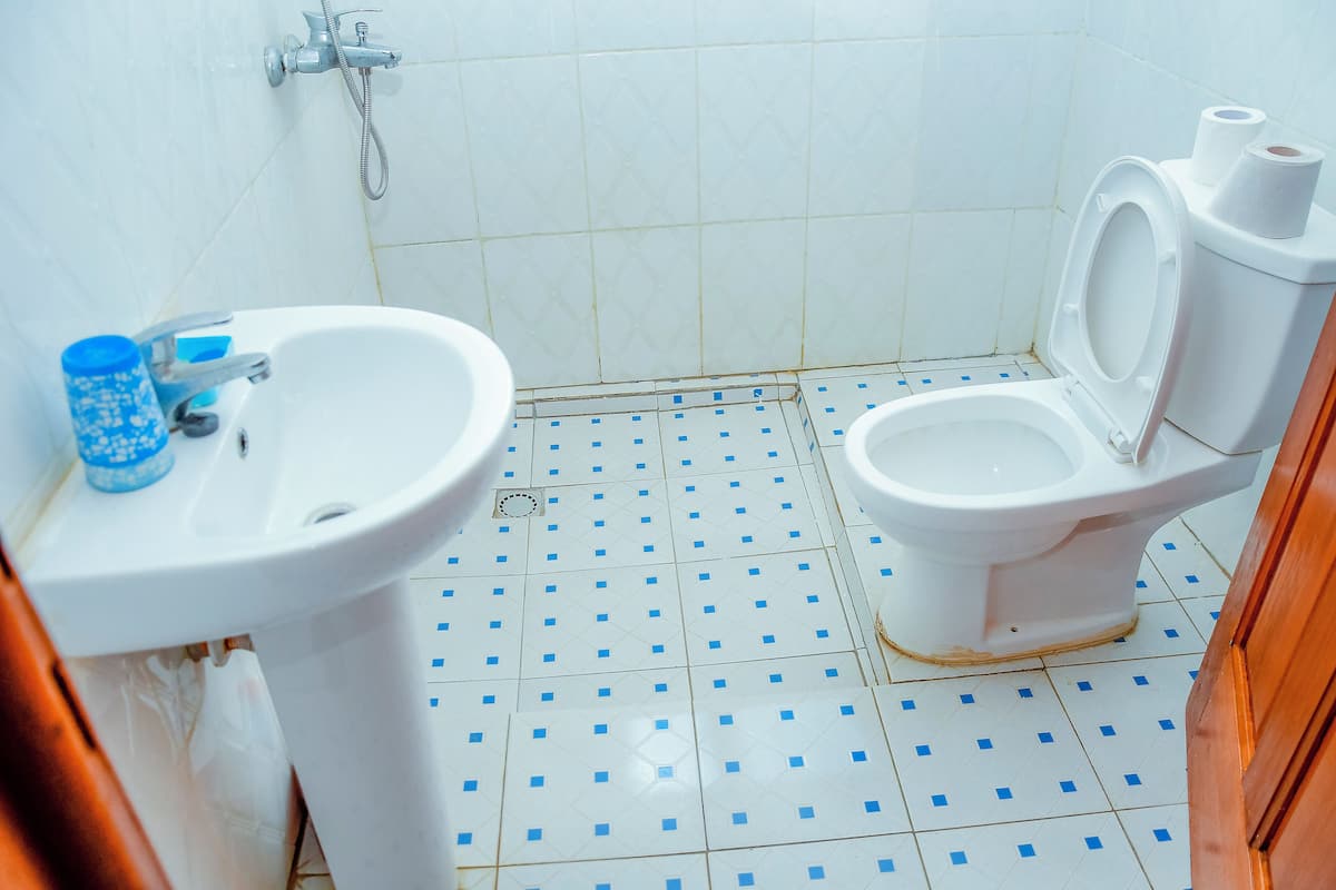 Un baño con lavamanos, inodoro y ducha.