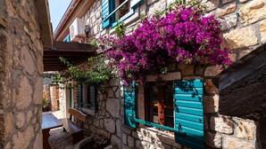 A narrow stone alley with a bench and a window with green shutters. - Gorgeous home in Vinjerac (Vinjerac)