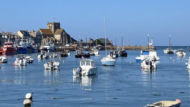 A harbor with various boats docked, a church, and buildings along the waterfront.