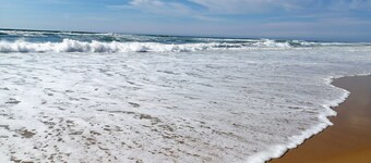 Seaside Retreat: Cozy 1BR Apt Steps from Beach & Shops