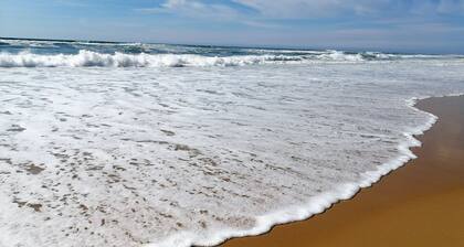 Urlaubswohnung nah am Strand und Geschäften in Seignosse, 1 Schlafzimmer, funktional und ruhig