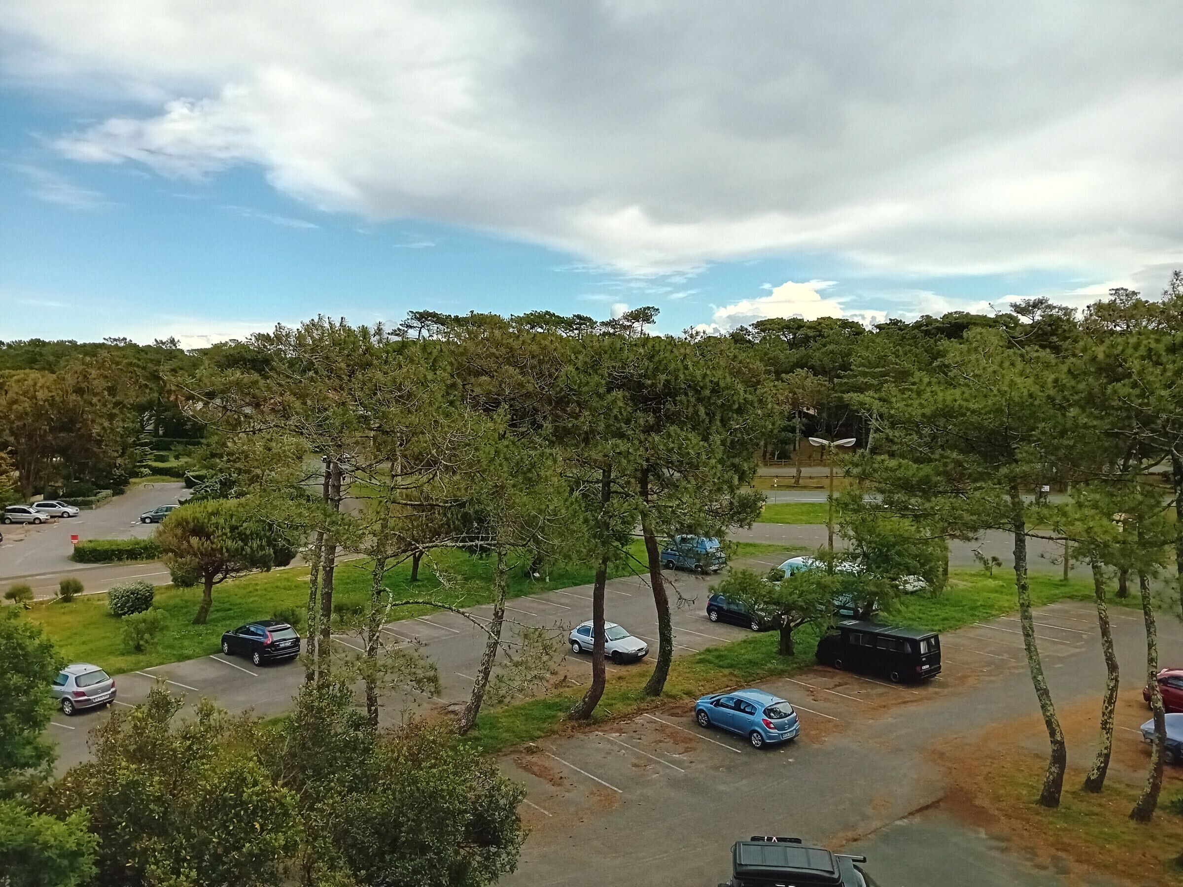 Una àrea de pàrquing amb diversos cotxes i arbres.