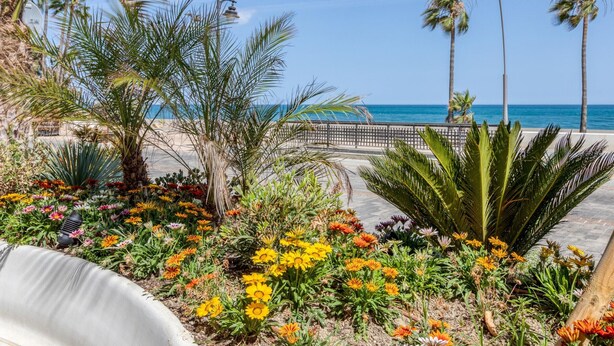 A coastal promenade with palm trees, a variety of colorful flowers, and a clear view of the ocean. - Modern renovated apartment near beach, 1 bedroom (Estepona)