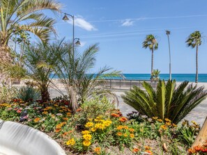 Un paseo marítimo con palmeras, diversas flores coloridas y una vista despejada del océano.
