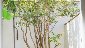 A corner with a tree, a metal structure, and two ceramic pots. - Domaine Secret d'Uzès & Spa: Le Duché, with a heated swimming pool (Aubussargues)