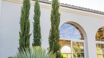 A building with a white facade, a large window with a glass door, and a tall coniferous tree in the foreground.