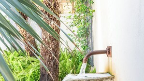 A stone water feature with a spout, surrounded by greenery and a white wall. - Domaine Secret d'Uzès & Spa: Le Duché, with a heated swimming pool (Aubussargues)