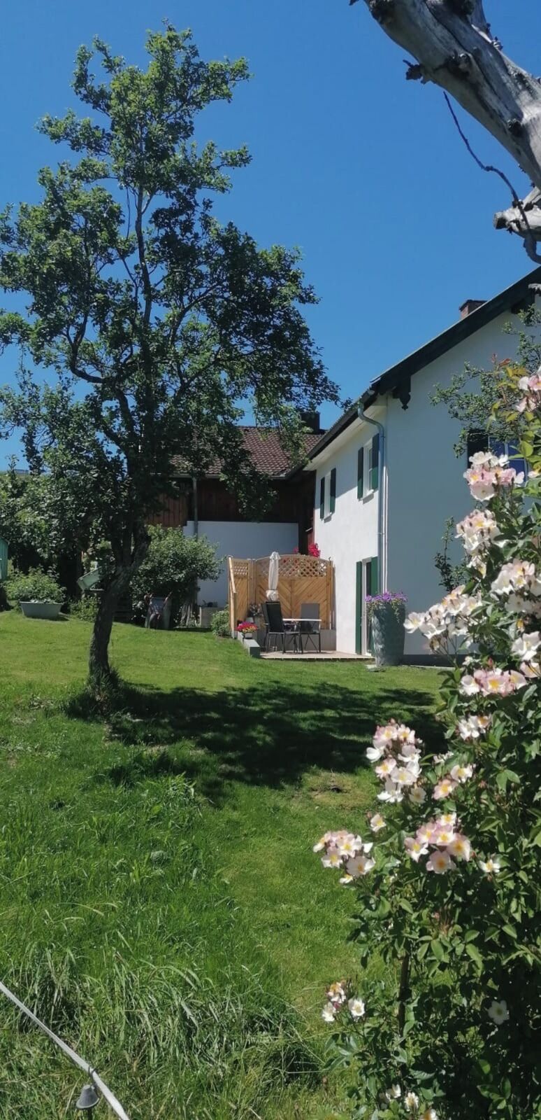 A white building with a sloped roof, a large tree in the foreground, and a clear blue sky.