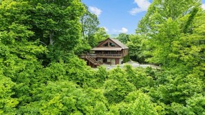 Une cabane entourée d’une forêt dense, avec un escalier imposant menant à l’entrée.