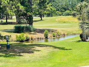Golf - Sunny 1BR condo, Myrtlewood (Myrtle Beach)