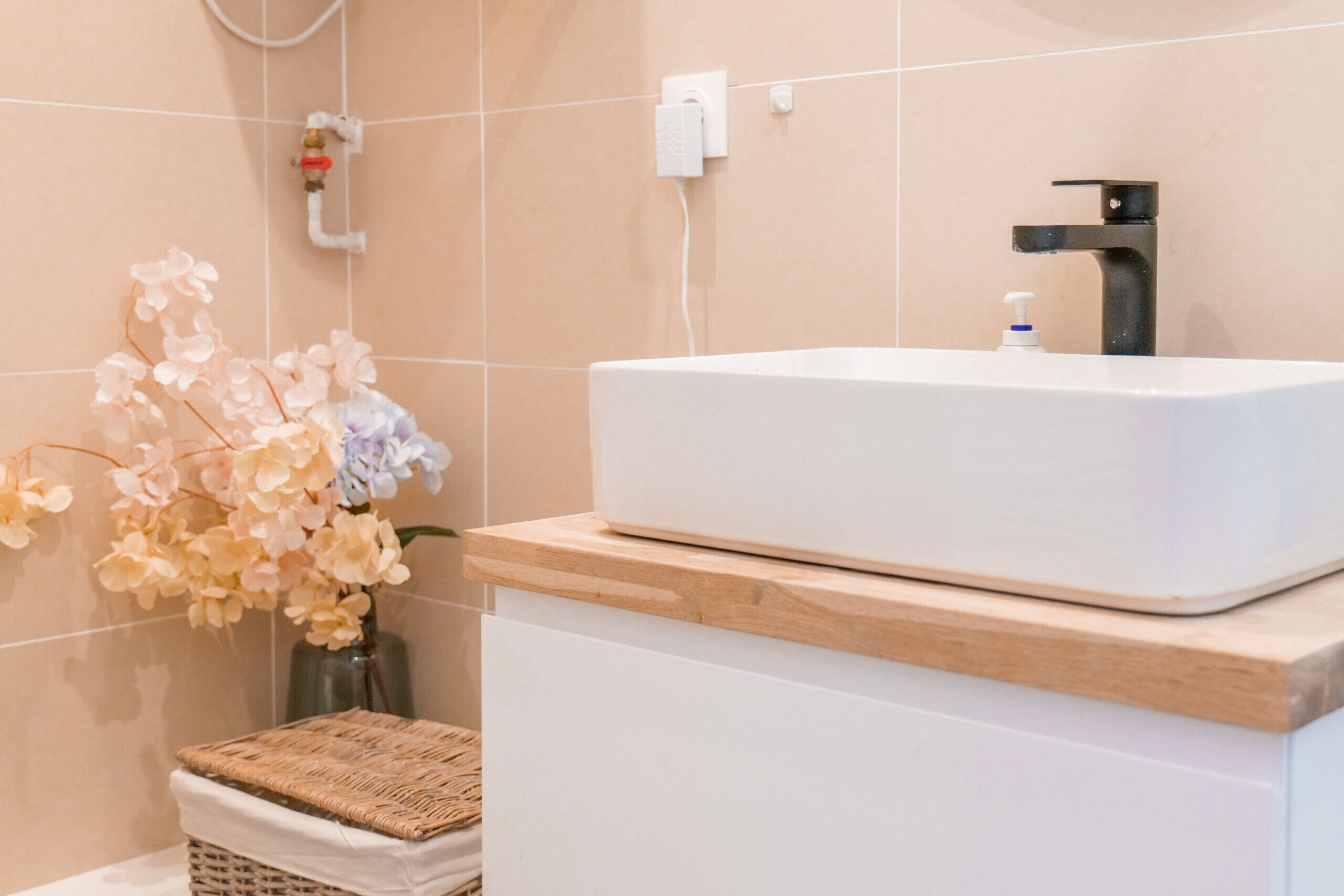 Ducha, secador de pelo