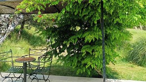 Un jardin agrémenté d’une pergola, d’une table et de chaises, situé sous un arbre aux feuilles vertes et aux fleurs rouges.