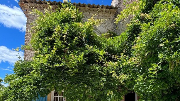 Un bâtiment rustique en pierre, doté d’une entrée carrelée et entouré d’une végétation luxuriante.