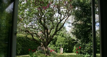 Lille hus med Adgang til Have tæt på Odense Centrum