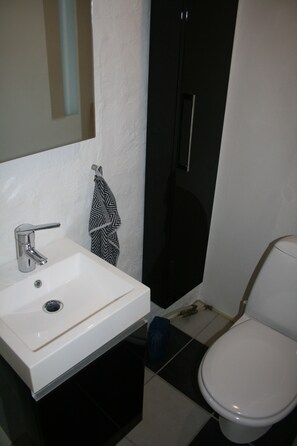 Hair dryer, towels, soap, toilet paper - Lille hus med Adgang til Have tæt på Odense Centrum (Odense)