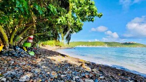 Une plage de galets avec un arbre et une vue dégagée sur la mer.
