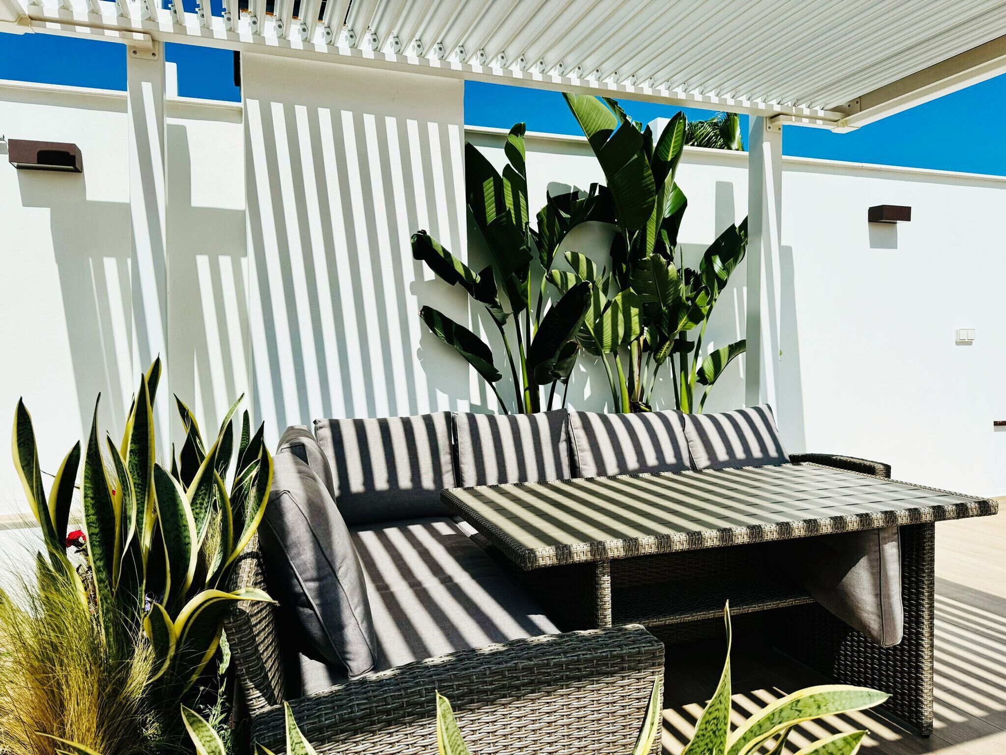 Un sofá de mimbre con cojines a rayas bajo una pérgola blanca, rodeado de grandes plantas verdes.