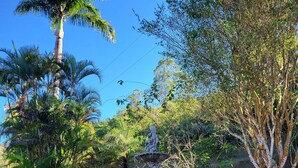 Un jardín con una fuente central, rodeado de diversas plantas y árboles.