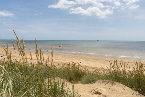 Une plage avec des dunes de sable et de lâherbe au premier plan, un ciel dĂ©gagĂ© et une eau calme.