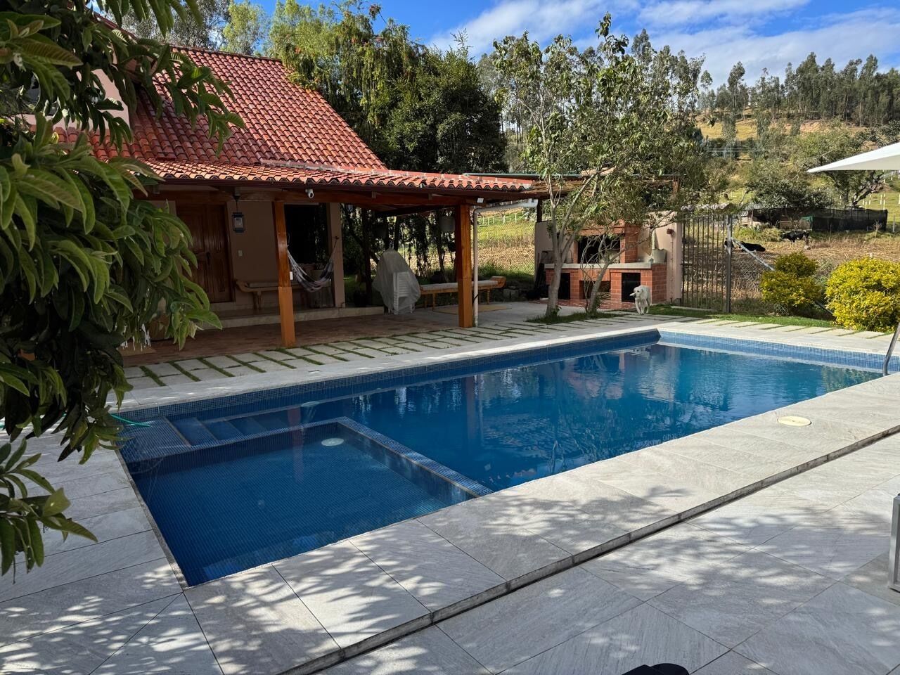 En swimmingpool med flisebelagte omgivelser, et overdækket siddeområde og et hegn med træer og en bakke i baggrunden.