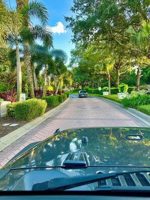 Une voiture roule sur une rue bordée d’arbres, avec un trottoir pavé d’un côté.