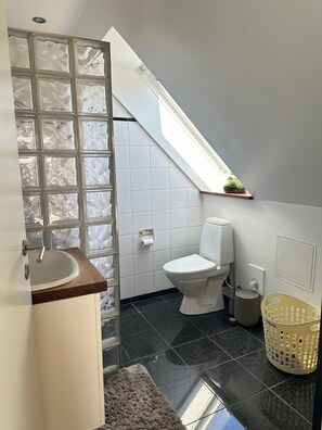 Hair dryer, towels, soap, toilet paper