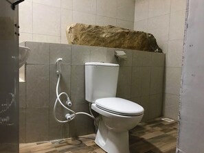 Shower, towels, soap, toilet paper