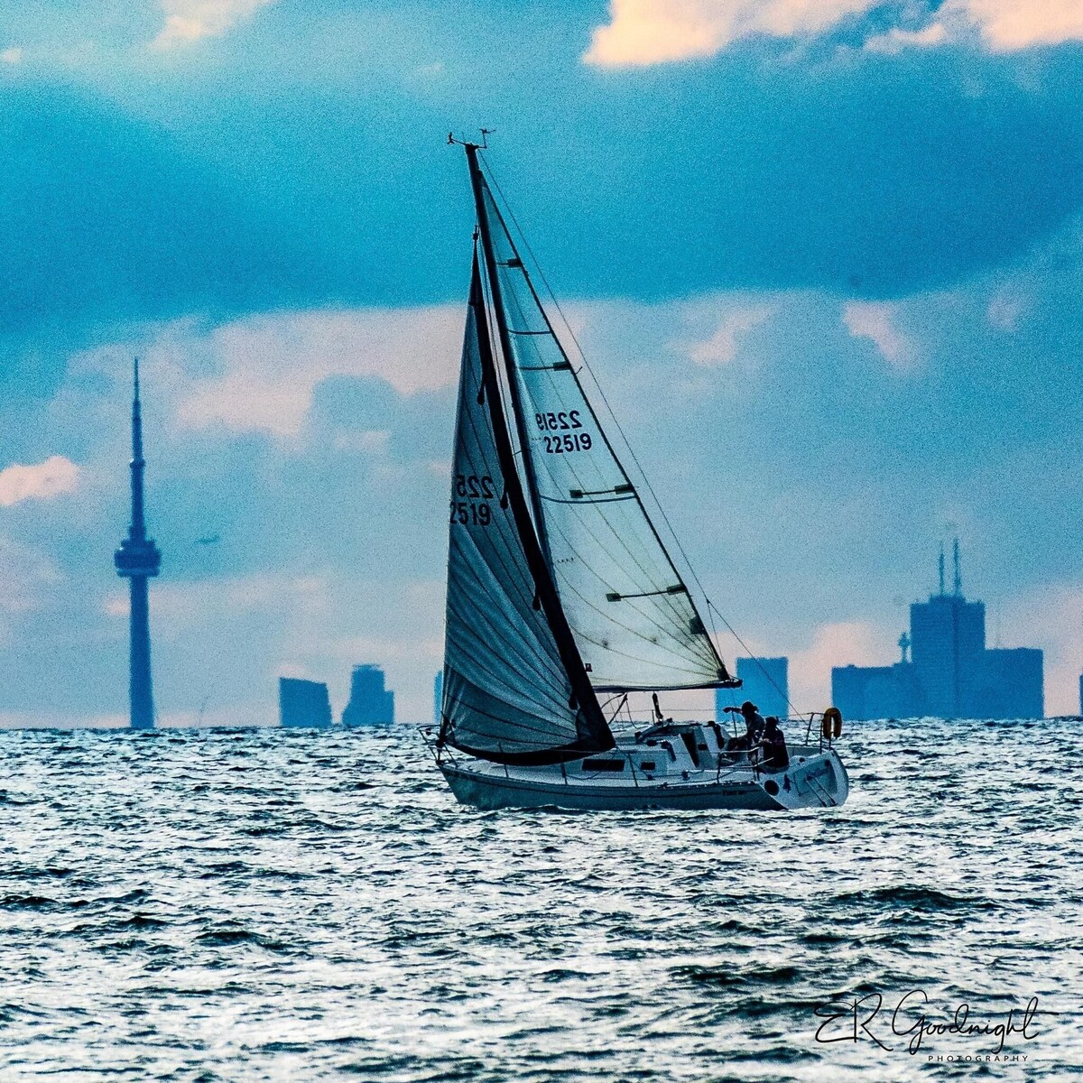 Imagen de perfil del propietario o de la propietaria