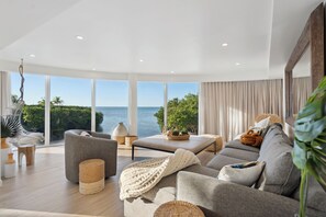 TV, books, computer monitors