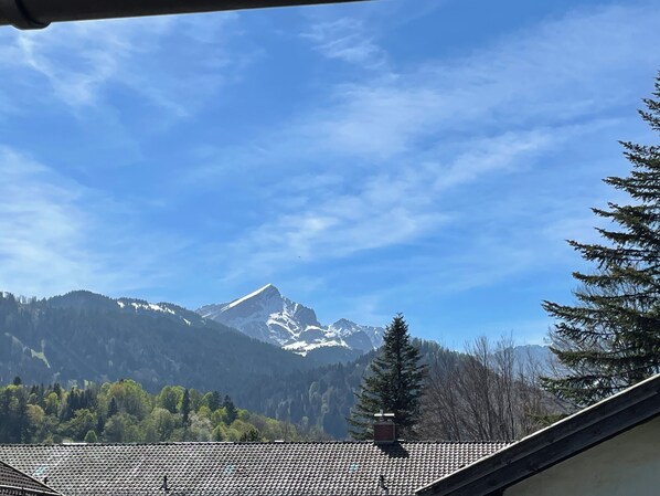 A mountain landscape with a snow-capped peak, a clear sky, and a building with a tiled roof.