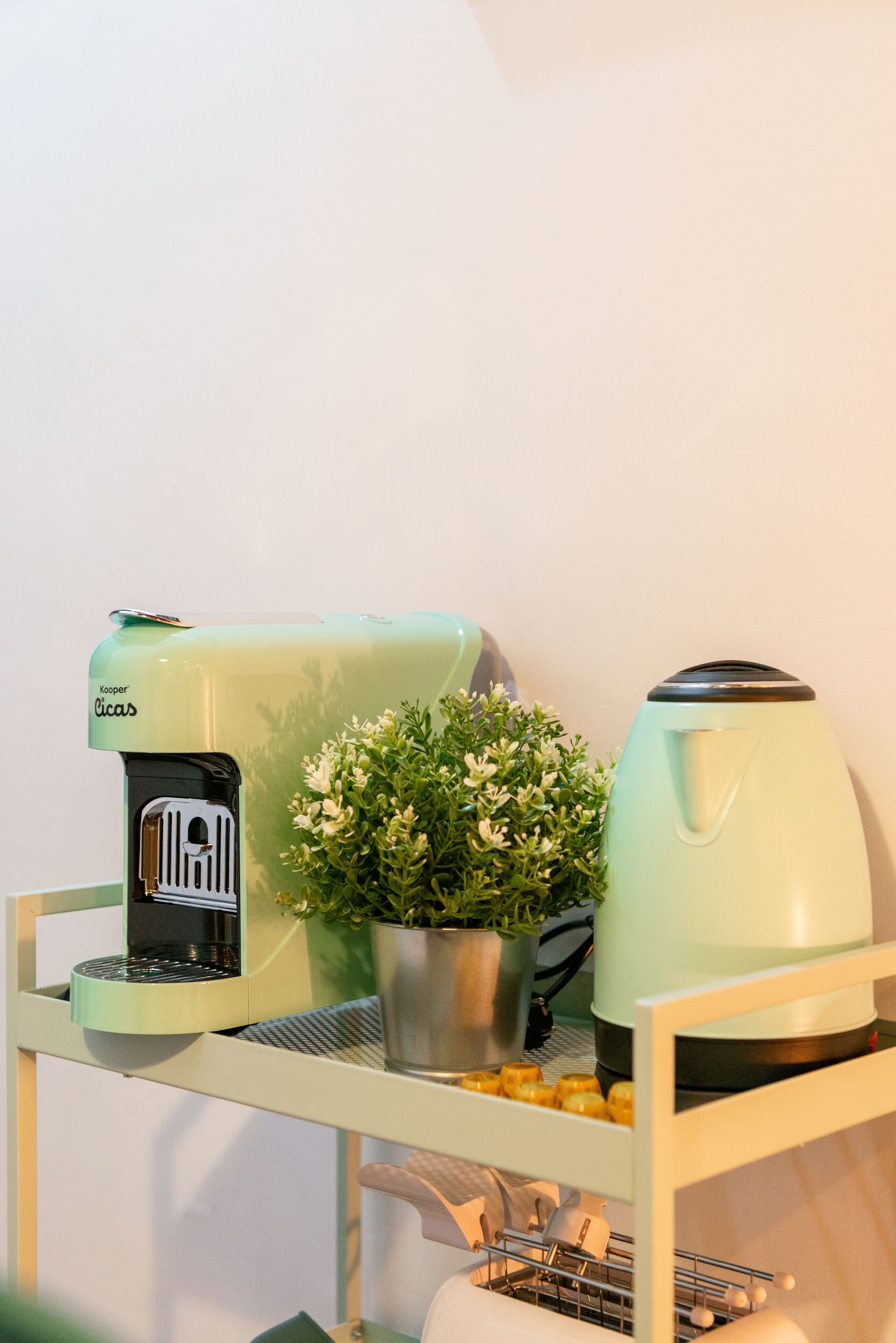A kitchenette with a coffee maker, a potted plant, and a kettle on a white countertop.