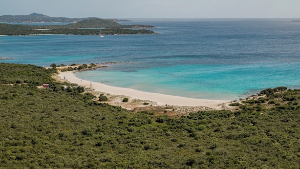 Eine Küstenlandschaft mit Sandstrand, dichter Vegetation und blauem Meer.
