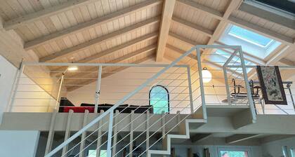 the silence among the olive trees, on a hill overlooking the sea