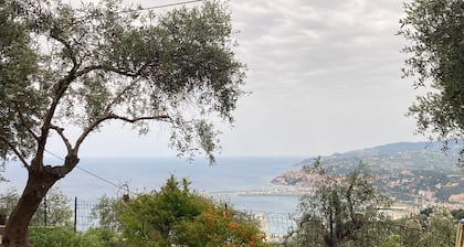the silence among the olive trees, on a hill overlooking the sea