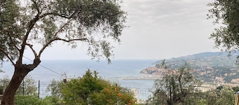 the silence among the olive trees, on a hill overlooking the sea
