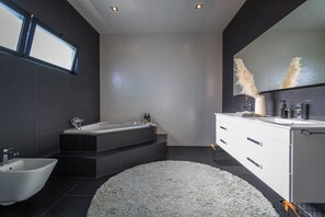Shower, hair dryer, bidet, towels