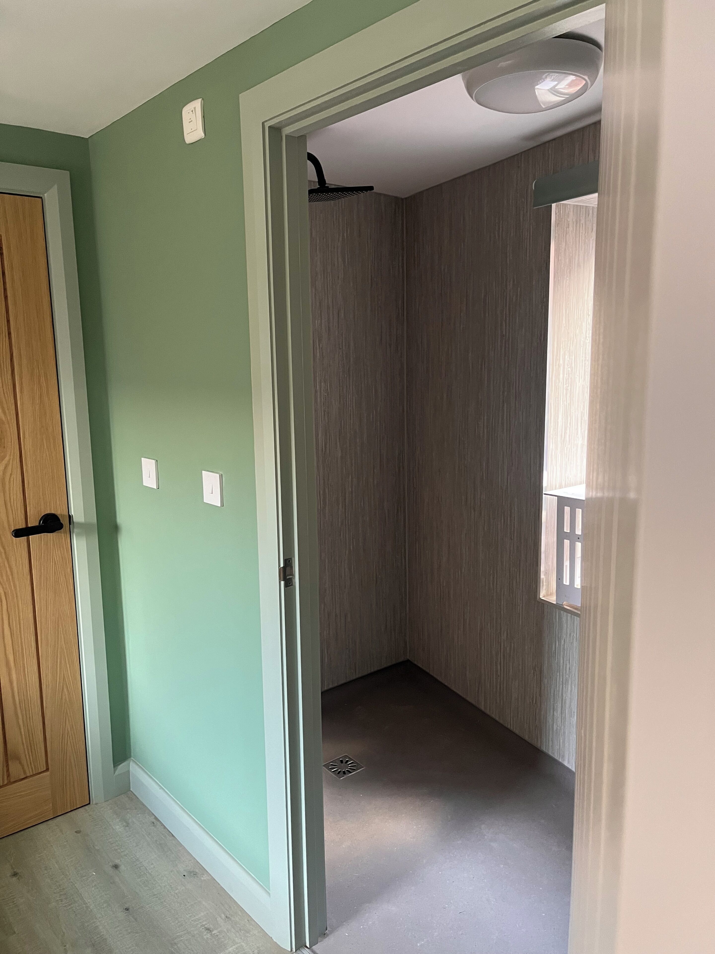 A room with a wooden door, a light green wall, and a ceiling with a recessed light fixture.