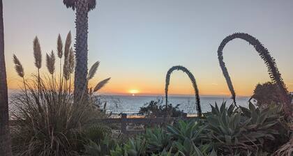 Outstanding Location. Spacious and Bright 2 Bedroom Condo.