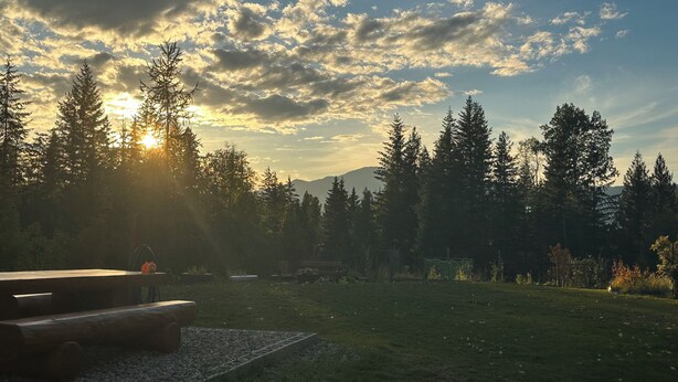 A picnic area with a table and benches, surrounded by a forest and mountains in the background.