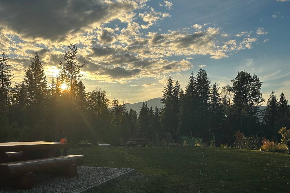 Cozy cabin on 10 acres in Clearwater BC