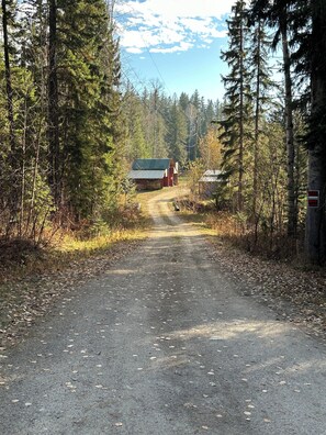 Property grounds - Cozy cabin on 10 acres in Clearwater BC (Clearwater)