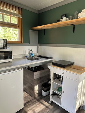 Fridge, microwave, coffee/tea maker, electric kettle