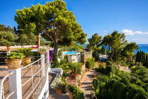 A rooftop garden with a pool, potted plants, and a view of the sea. - Villa with Pool and 8 Double Bedrooms in Anacapri – by La Canostra Capri (Anacapri)