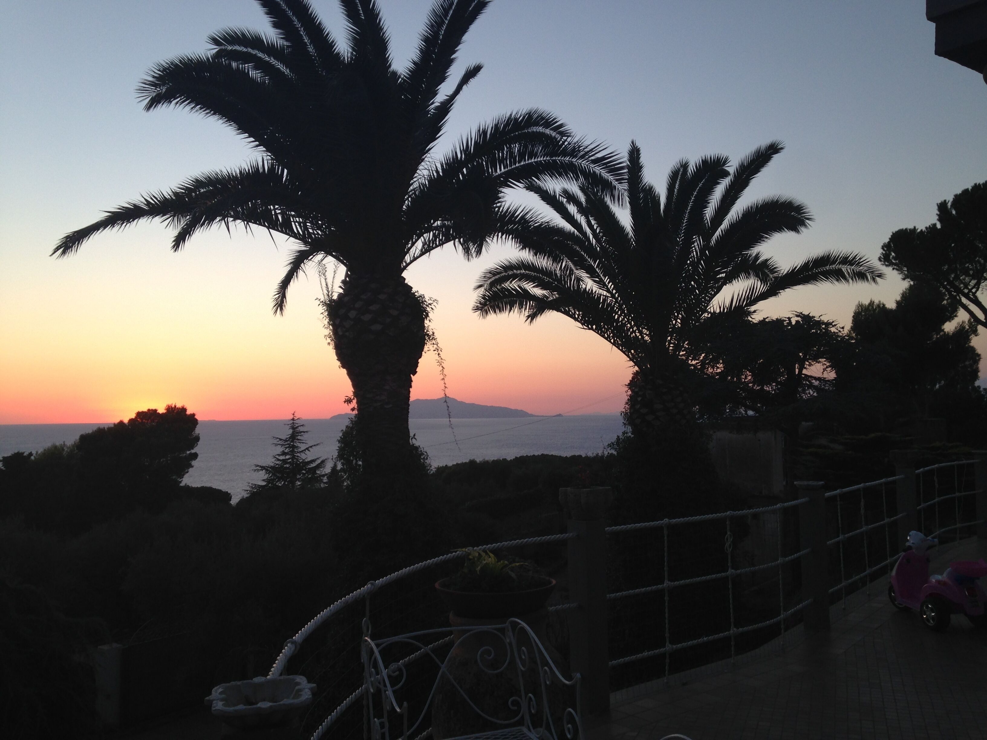 A sunset view with palm trees and a distant mountain range.